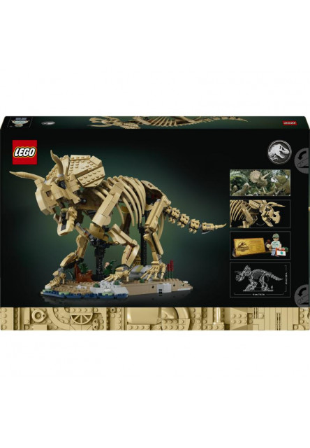 Dinosaurie fosílie: Triceratops