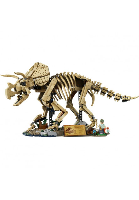 Dinosaurie fosílie: Triceratops