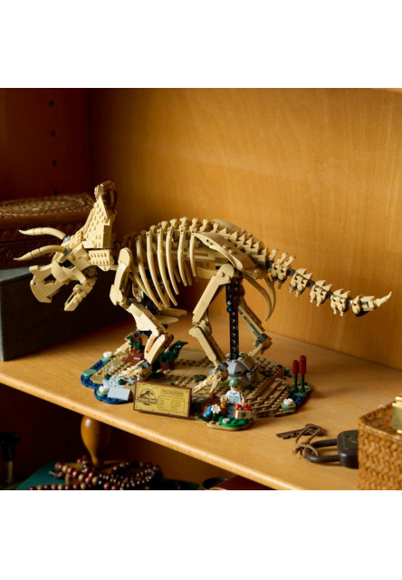 Dinosaurie fosílie: Triceratops