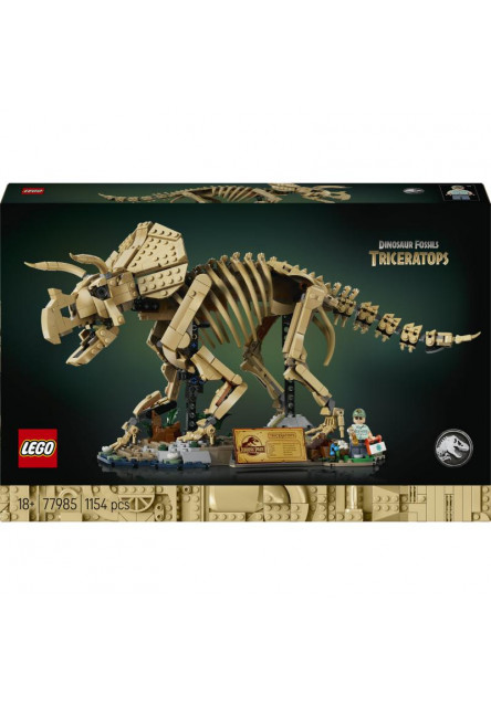 Dinosaurie fosílie: Triceratops