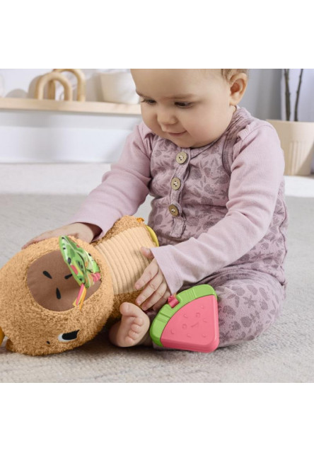 Fisher Price HEBKÁ DESIATA PRE KAPYBARU