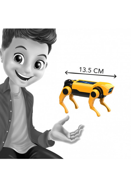 MiniLab RC Robotický Pes